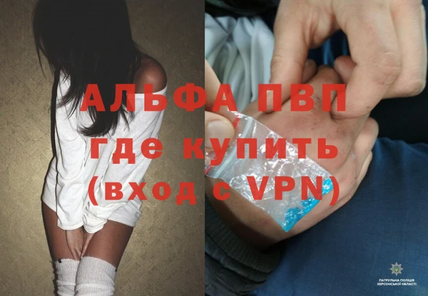 PSILOCYBIN Армянск