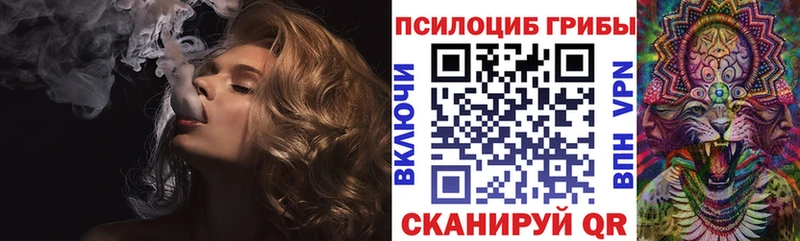 Галлюциногенные грибы Psilocybine cubensis shop какой сайт Кондрово